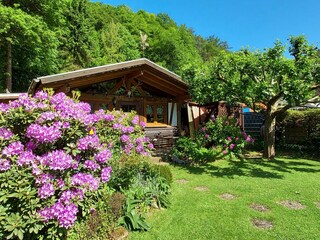 Vakantieappartement Erfweiler Buitenaudio-opname 8