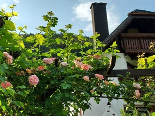 Vakantieappartement Erfweiler Buitenaudio-opname 12
