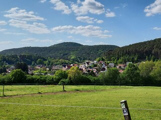 Vakantieappartement Erfweiler Omgeving 27