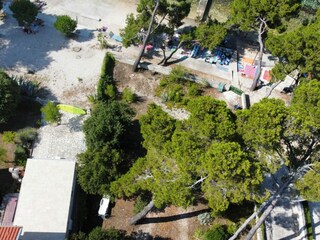 Garden  (photo with drone)
