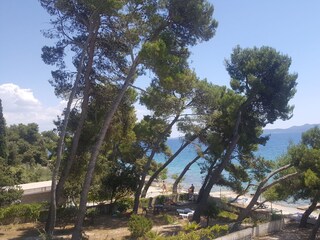 Garten bis zum Strand