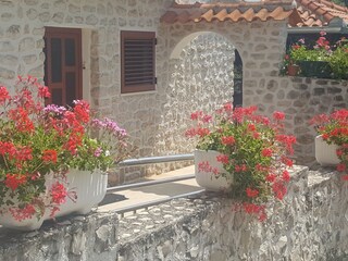 Holiday apartment Petrcane Outdoor Recording 11