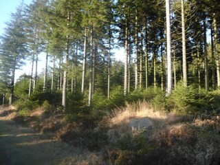 Casa per le vacanze Stavelot Ambiente 18