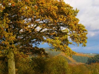 Casa per le vacanze Stavelot Ambiente 21