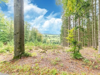 Vakantiehuis Stavelot Omgeving 23