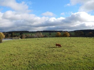 Casa per le vacanze Stavelot Ambiente 25
