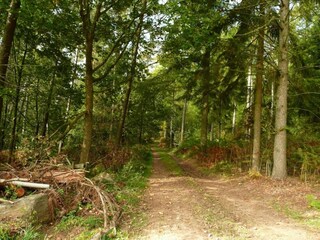 Vakantiehuis Stavelot Omgeving 28