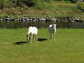 Casa per le vacanze Stavelot Ambiente 30