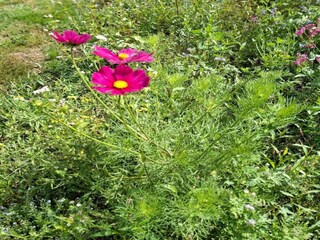 Vakantiehuis Stavelot  40