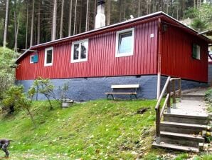 Holiday house Schöne Querbachhütte mit Quellwasser - Oberweissbach - image1