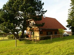 Groot chalet met prachtig uitzicht - Dabo - image1