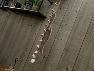 Vakantiehuis Vrouwenpolder  38