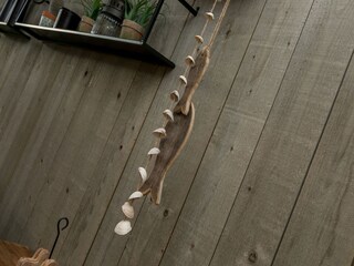 Casa per le vacanze Vrouwenpolder  37