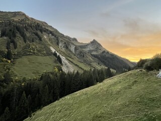 Blick vom Balkon im Sommer