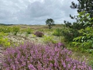 Vakantiehuis Groet Omgeving 12