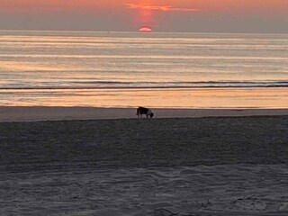Casa per le vacanze Groet Ambiente 14