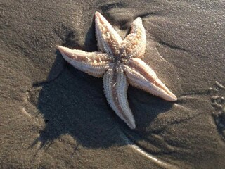 Casa per le vacanze Groet Ambiente 16