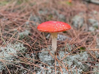 Casa per le vacanze Groet Ambiente 17