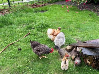 Casa per le vacanze Groet Registrazione all'aperto 4