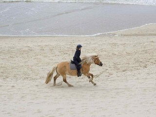 Casa per le vacanze Groet Ambiente 20