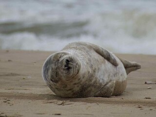 Casa per le vacanze Groet Ambiente 21