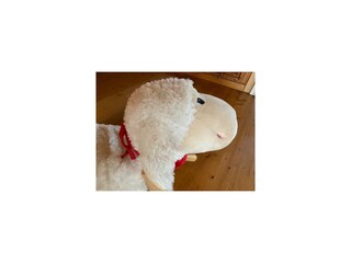 Casa per le vacanze Carolinensiel Registrazione all'aperto 5