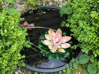 Casa per le vacanze Carolinensiel Registrazione all'aperto 7