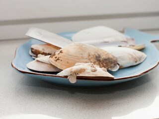 Casa per le vacanze Harlesiel Registrazione all'aperto 9