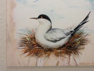 Casa per le vacanze Harlesiel Registrazione all'aperto 17