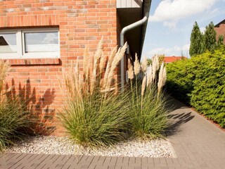 Casa per le vacanze Carolinensiel Registrazione all'aperto 2