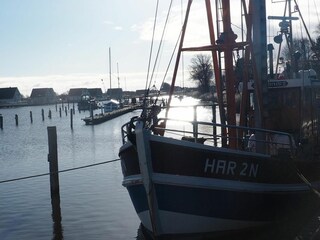 Appartamento per vacanze Harlesiel Registrazione all'aperto 5