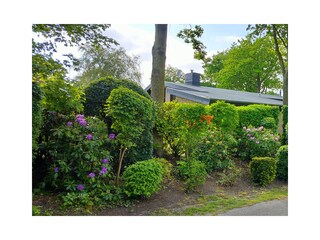 Ferienhaus Oostkapelle Umgebung 24