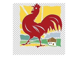 Chalet Vöran Documento 24