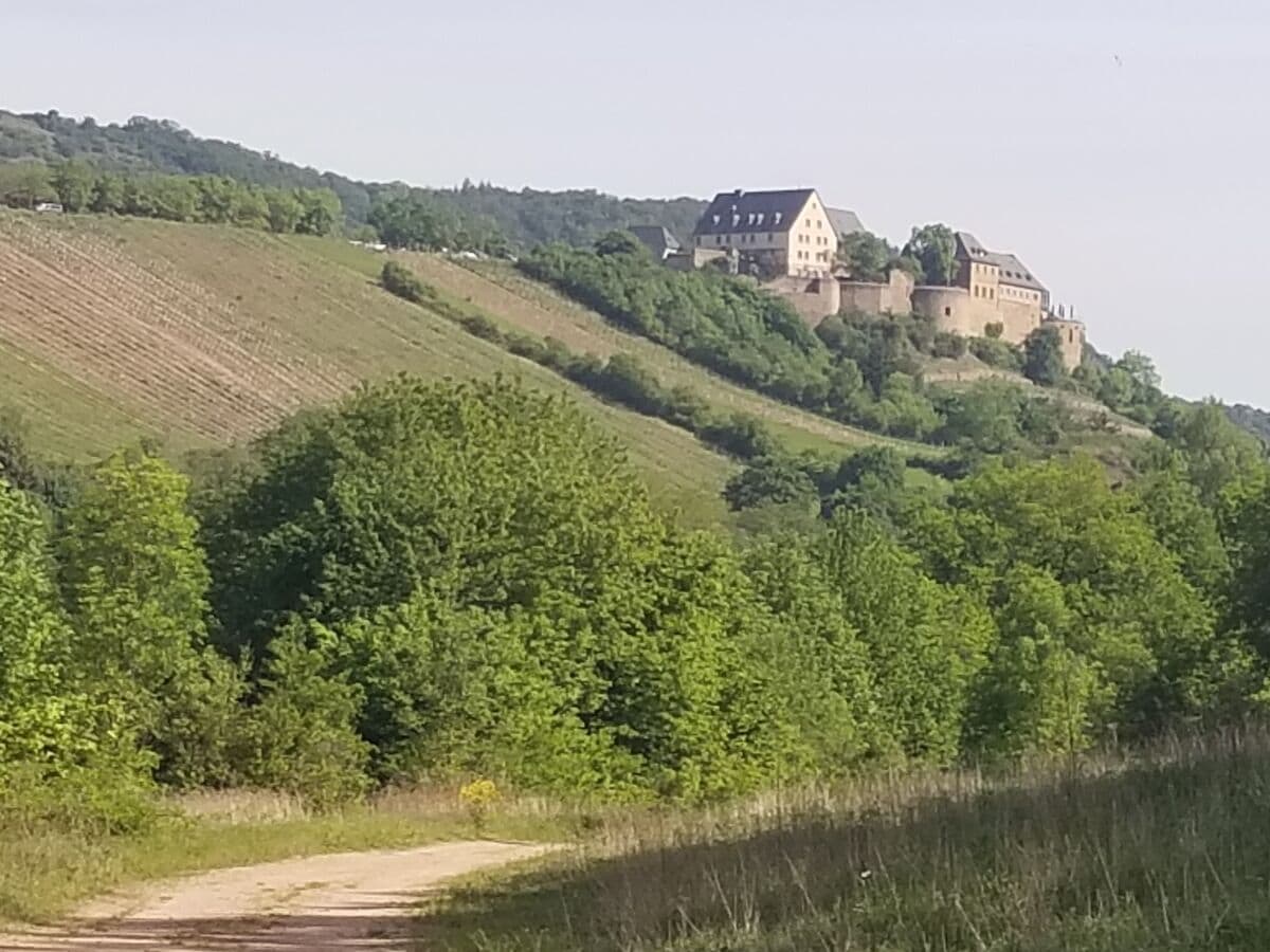 Radweg mit Blick auf die Ebernburg