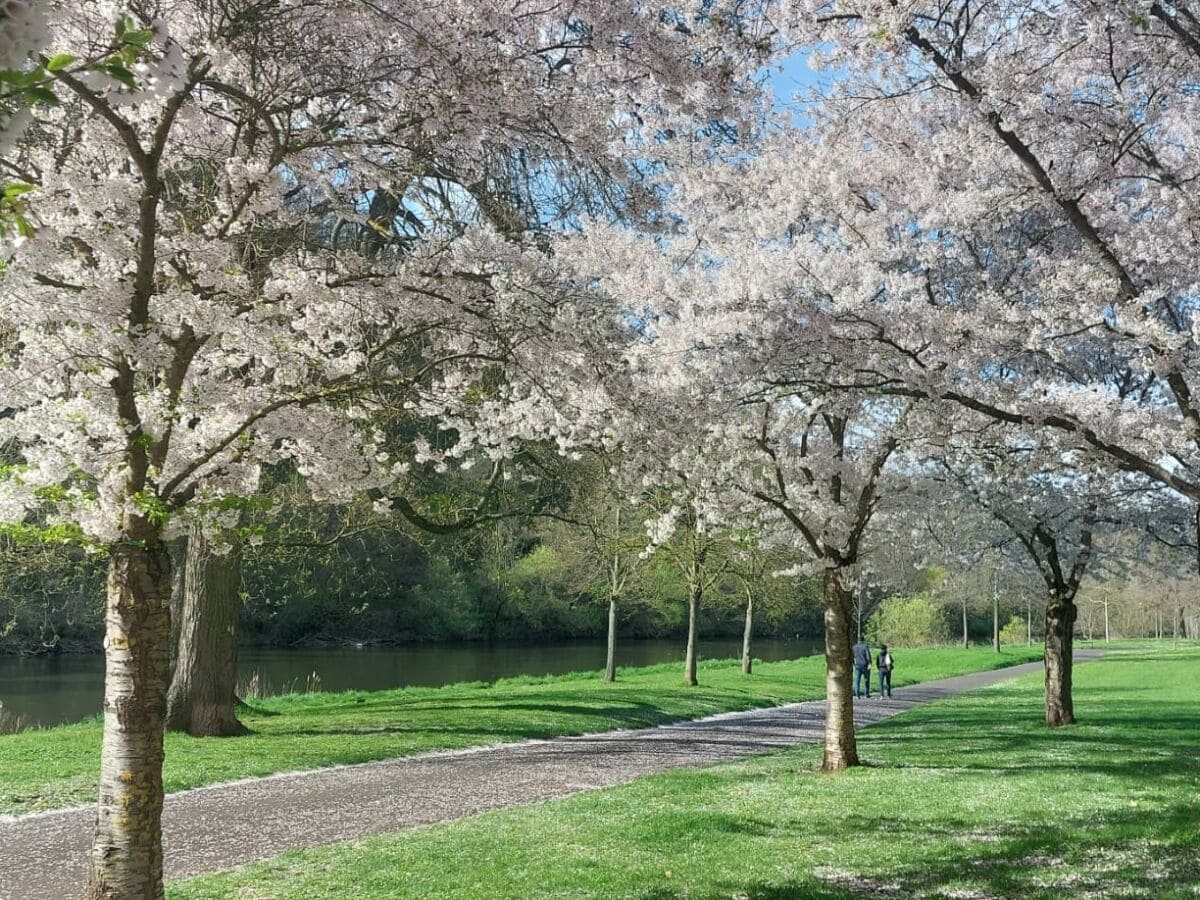 Spaziergang entlang der Nahe auf der Roseninsel