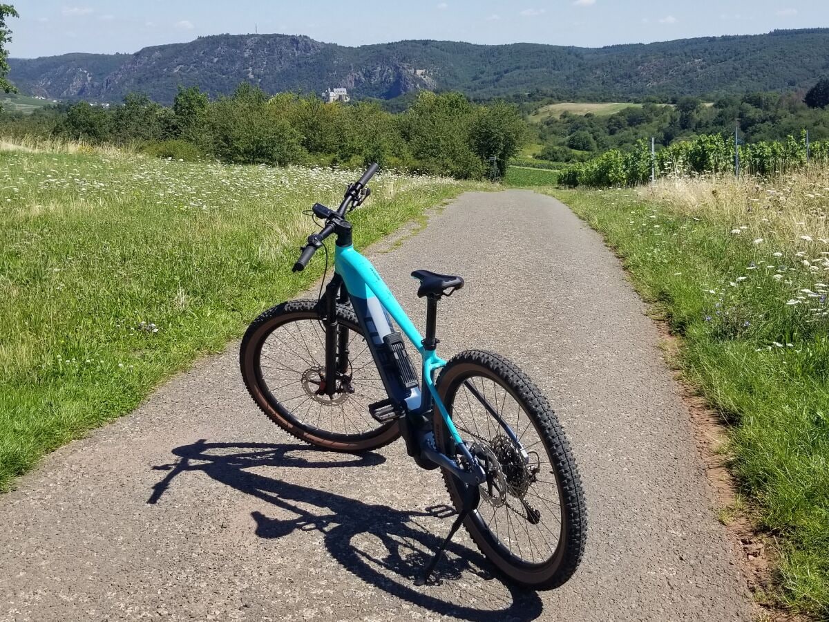 Radeln durch die Weinberge