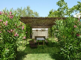 Casale Pollensa Registrazione all'aperto 11