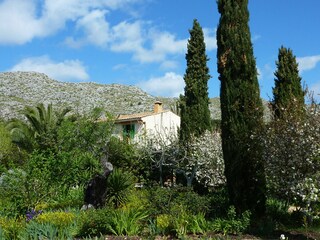 Casale Pollensa Registrazione all'aperto 12