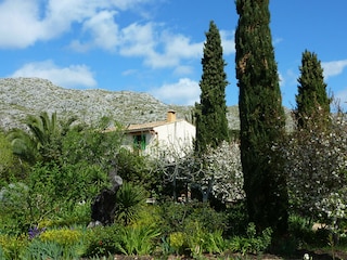 Cottage Pollensa Outdoor Recording 12