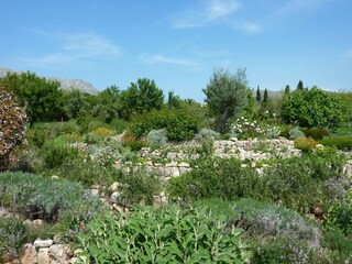 Casale Pollensa Registrazione all'aperto 14