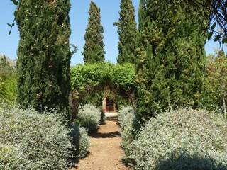 Casale Pollensa Registrazione all'aperto 16