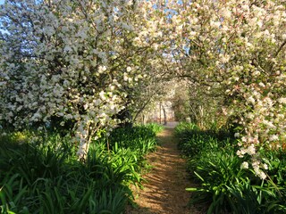 Casale Pollensa Registrazione all'aperto 17