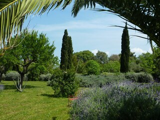 Casale Pollensa Registrazione all'aperto 18