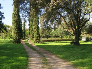 Casale Pollensa Registrazione all'aperto 19