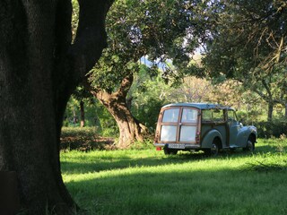 Casale Pollensa Registrazione all'aperto 20