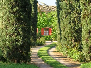 Casale Pollensa Registrazione all'aperto 21