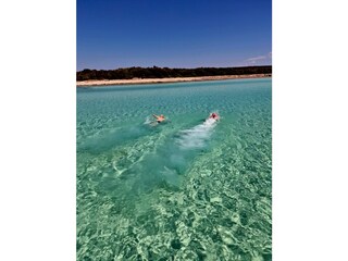 Appartamento per vacanze Vir Ambiente 27