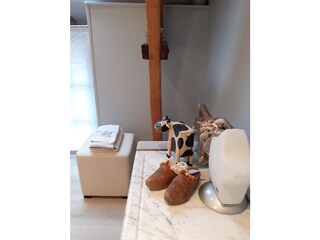 Casa per le vacanze Brévands Caratteristiche 13