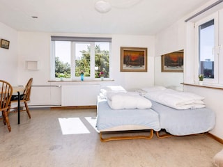 Ferienhaus Roslev  14