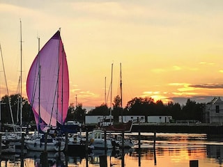 Casa per le vacanze Peenemünde Ambiente 29